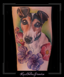 lady-portret-hond-jack-russel-dier-onderarm