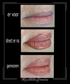 pmupermanente-makeuplippenschaduw