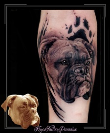 portret-boxer-hond-dier-arm-trash1