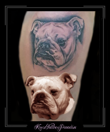 portret-bulldog-hond-bovenbeen