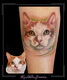 portret-poes-kat-onderarm