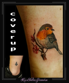 coverup roodborstje enkel