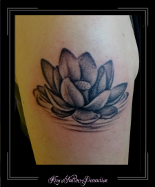 lotus bloemen