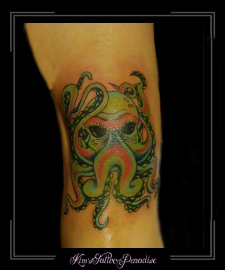 octopus inktvis knie