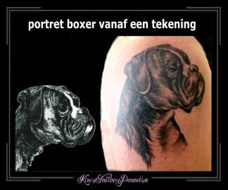 portret boxer vanaf tekening