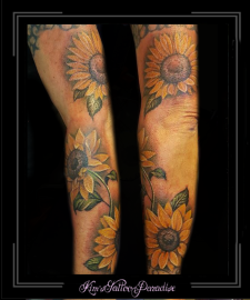 zonnebloemen,arm,kleur,